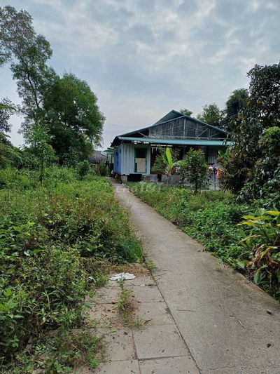 BÁN ĐẤT THỔ VƯỜN DIỆN TÍCH LỚN VỊ TRÍ ĐẸP GIÁ RẺ