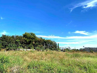 Đất 730tr có 516m2 Bàu Bàng dùng để đầu tư sinh lời gần khu dân cư.SHR