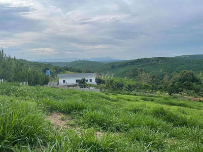 Bán lô đất nhà vườn cách quốc lộ 14 có 500m, đất nhìn view thung lũng