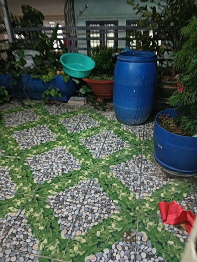 60 m đường 20 ccvb