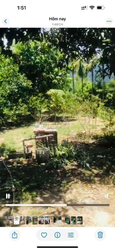 Bán đất gò sắn có cây ăn trái sẵn, vào xay nhà ở ngay