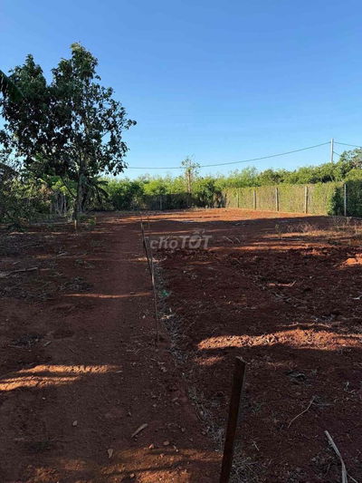 CHO THUÊ HOẶC BÁN MIẾNG ĐẤT SIÊUUU ĐẸP, GẦN BIỂN, GIÁ TỐT