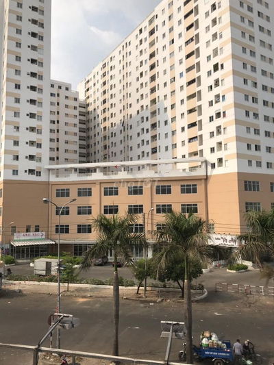 Cho thuê các căn hộ chung cư hqc hóc môn