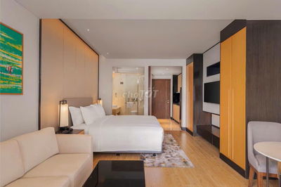 Căn hộ Wyndham Soleil 1PN View biển thanh toán tiến độ chiết khấu 14,5