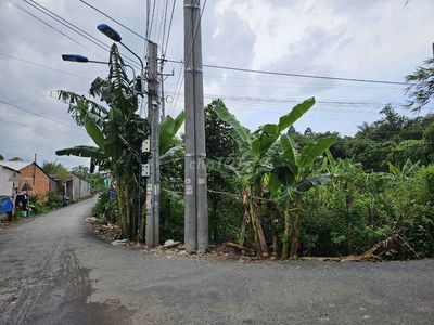 BÁN ĐẤT 2 MẶT TIỀN LỘ NHỰA DT 636,5M²- ĐÔNG BÌNH, BÌNH MINH, VĨNH LONG