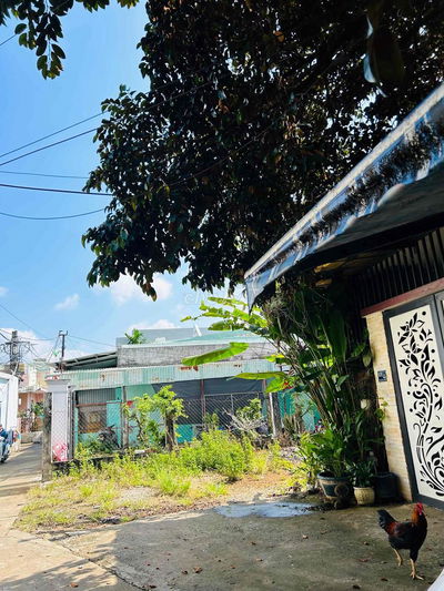 Bán đất tặng 3 phòng trọ