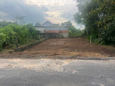 Cuối năm cần tiền chủ gửi ra gấp đất 242m²  Giá 550 triệu Tại Củ Chi