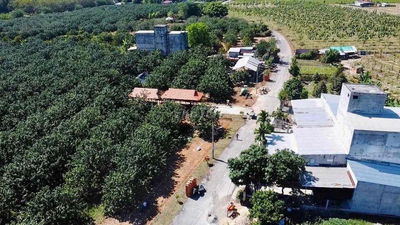 đất vườn bưởi - thổ cư trừ văn thố TPHCM cách Ql13 1km