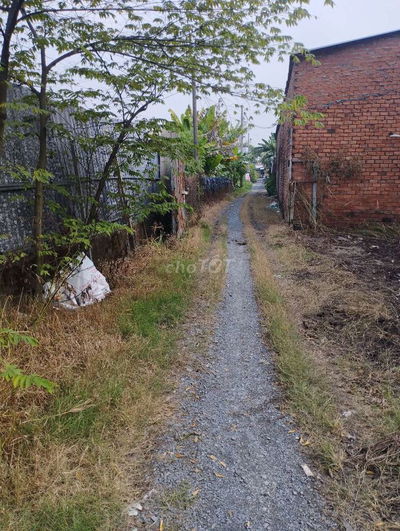 Đất vườn cao ráo có hàng rào kín