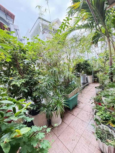 (4x16) Nhà hẻm xe tải, 5 tầng BTCT, đường Thành Thái, 21 tỷ