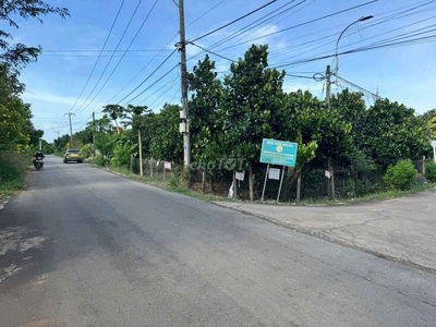 NHÀ VƯỜN MÍT 2 MẶT TIỀN NHỰA - 300M2 THỔ CƯ CẦN BÁN