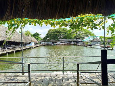 Cần bán 10.000 m2 trung tâm Tp Cao Lãnh