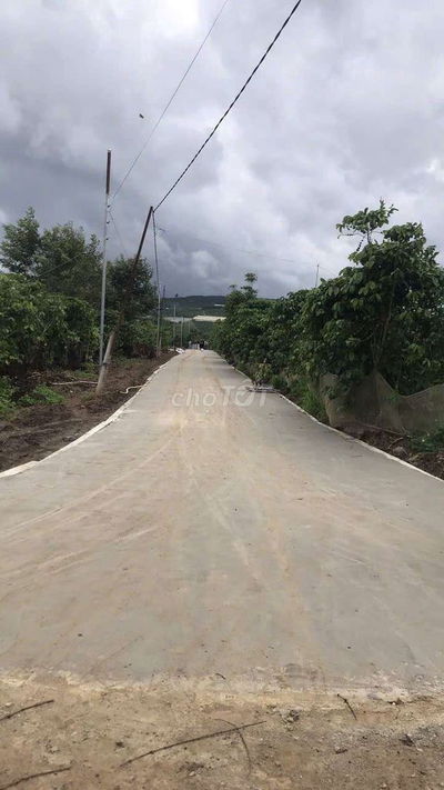 200m2 thổ cư giá 390tr giá cực tốt