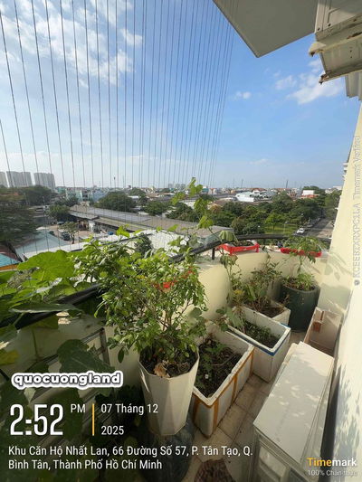 Cần bán chung cư Nhất Lan A-B. 80m2. 2pn 2wc. Căn gốc 2bancon. SHR.