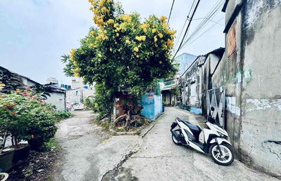 HIẾM THẬT SỰ ĐẤT 90m² TẶNG NHÀ C4 BÌNH CHIỂU,THỦ ĐỨC GIÁ CHỈ 3.9 TỶ