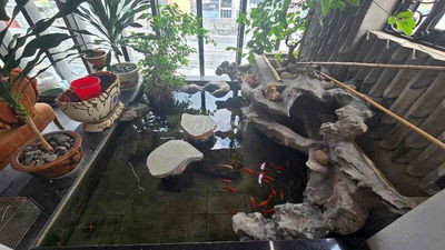 Trường Chinh  Ô TÔ  2 MẶT PHỐ TRƯỚC SAU Ô TÔ DỪNG ĐỖ NGÀY ĐÊM KINH DOA