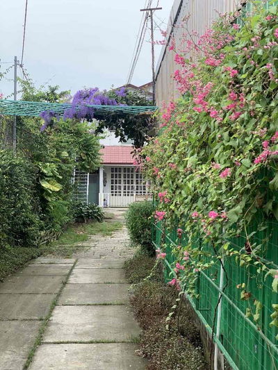 Căn hộ xinh xắn trong vườn yên tĩnh