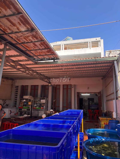 Cần bán nhà chính chủ đang cho thuê 7triệu 1 tháng tại bình chuẩn 61