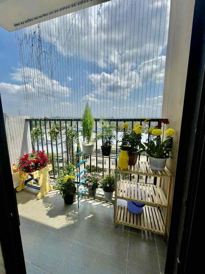 Cho thuê căn hộ tiện di chuyển ra Metro Bình Thái