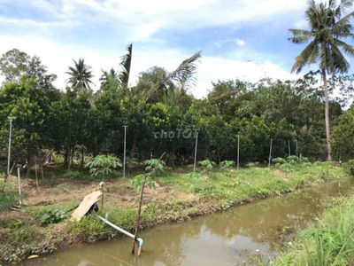 Bán đất Vĩnh Hoà, Chợ Lách Bến Tre (Vĩnh Long), 6 công, 3.95