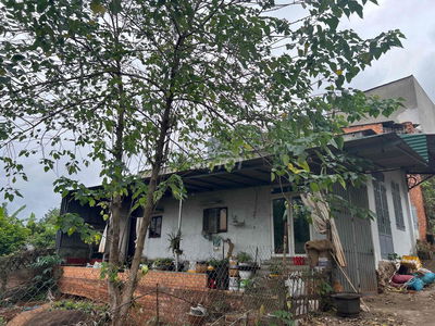 Bán nhà cấp 4 Amasa