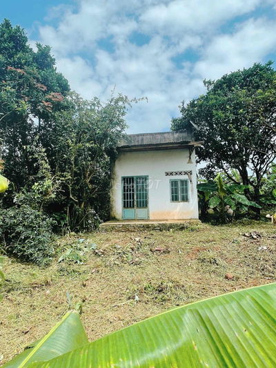 Đất bằng thôn 12, đường xe hơi