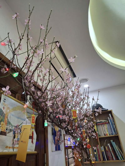 Chính chủ cần chuyển nhượng, nhà sạch, ấm cúng