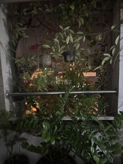 Căn hô 44m2 1PN 1gác lửng chung cư Huỳnh văn chính quận Tân Phú Hcm