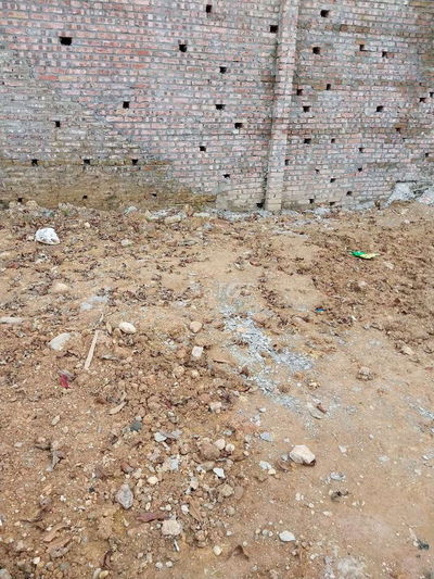 Gần các trường đại học ( đại học Việt hung,)