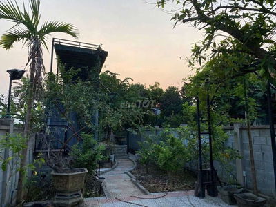 Bán nhà vườn đường nhựa 310m2 có 100m2 đất ở, xã hòa phong