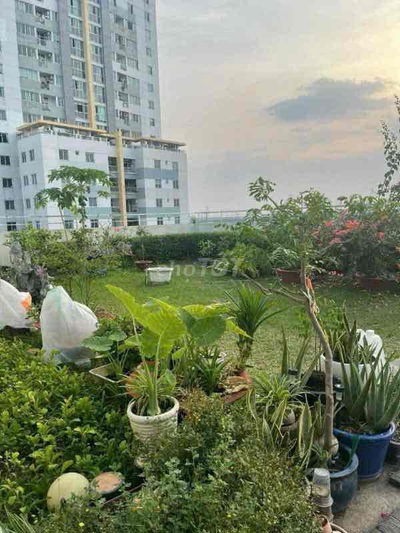 ✅✅BÁN CĂN HỘ BELLEZA Q7-75M2,2PN❎VIEW PMH💕SÂN VƯỜN CHUNG💰3.85 TỶ🔥🔥🔥