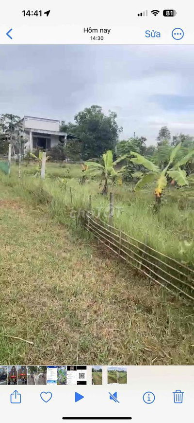 cho thuê đất khu vực an ninh đông đức hoà long an