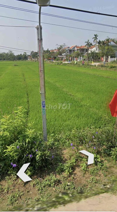 400m View Lúa trực diện làm nhà vườn hoặc phân lô