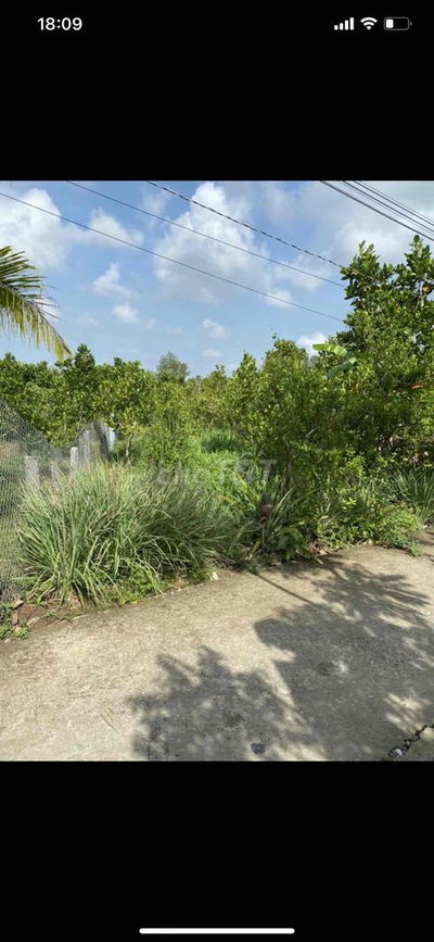 cần bán 1534m2 thường thạnh cái răng