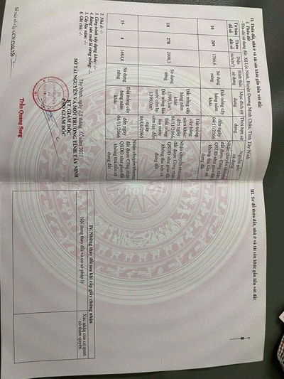 Ngộp bank không chịu nổi nửa