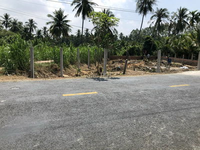 Đất mặt tiên QL 60 bến phà Cầu Quan- Cù Lao Dung