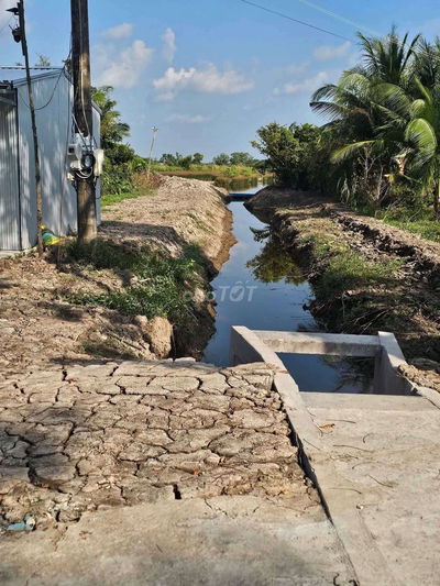 Bán vuông xã đầm dơi