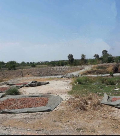 Bán đất vườn Bình Chánh, 140m2