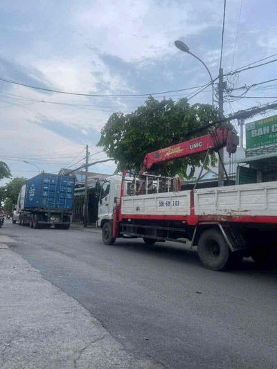 CHO THUÊ 600M2 / Xuân thới sơn Giá 29tr/ tháng