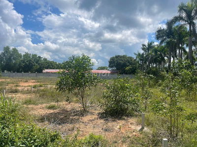 Đất mặt tiền Tỉnh lộ 15, Phú Mỹ Hưng, Củ Chi, 10x57m, xe lớn di chuyển