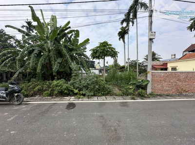 MẶT ĐƯỜNG LÂM ĐỘNG LIÊN THÔN THUỶ NGUYÊN