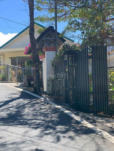 Bán Villa Sân Vườn Ngay Cửa Ngõ Đà Lạt Giá Chỉ 11 Tỷ