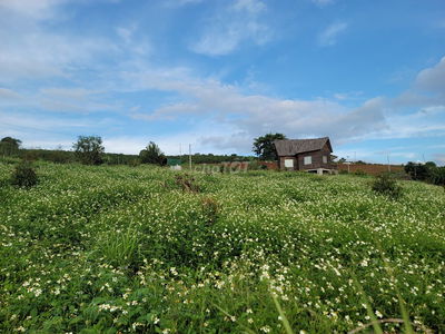 Bán đất 1000m2 cách UBND Tân Hà 1,2km, đầu hẻm có trạm sạc Vinfast