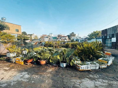 LÔ ĐẤT NHỈNH 1 TỶ – 31M² – NGANG 4M –SHR– HXH – TÂN THỚI HIỆP, QUẬN 12