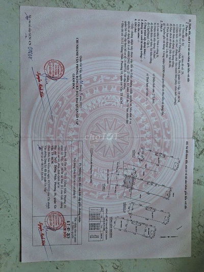 NHÀ CHÍNH CHỦ PHƯỜNG GÒ VẤP