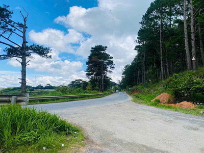 Lỡ tin vào vay nặng lãi cần bán gấp 500m2 Chỉ 633tr Ven Đà Lạt