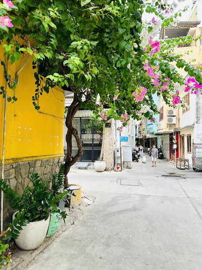 NHÀ NGUYÊN CĂN TRẦN HƯNG ĐẠO , HXH