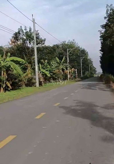 Đất Sào giá rẻ đường nhựa ĐH-511 xã Tân Hiệp 3.000m² giá 3 tỷ 480triệu