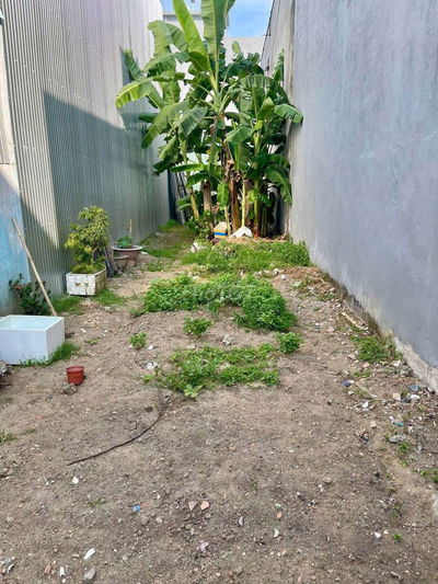 Bán đất kiệt chính ô tô Trần Đình Nam