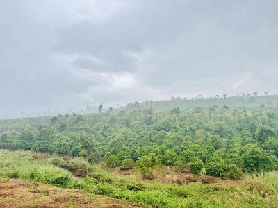 🆘🆘🆘 Siêu hiếm!  30000 m2 Đất Rẫy Cà Phê + Tiêu + Sầu riêng + Macca